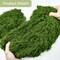 Fake Green Moss 10.6 oz Decorative Artificial Moss for Crafts Artificial Dark Faux Moss for DIY Table Centerpieces Wedding Party Decor Fairy Garden Floral